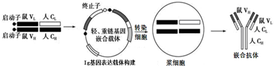 菁優(yōu)網