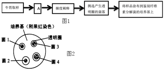 菁優(yōu)網