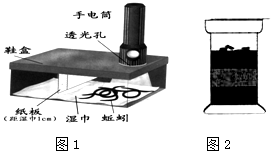 菁優(yōu)網(wǎng)