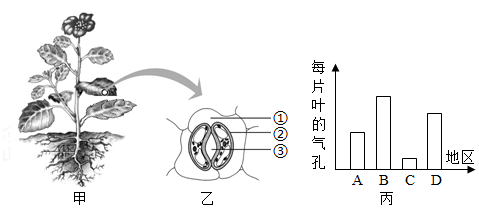 菁優(yōu)網