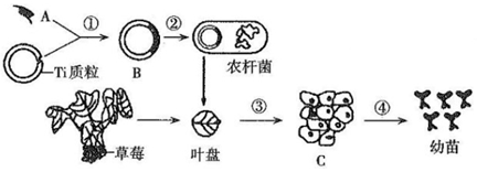 菁優(yōu)網