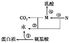 菁優(yōu)網(wǎng)