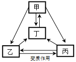 菁優(yōu)網(wǎng)