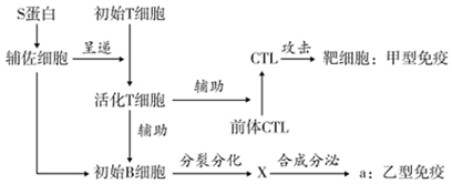 菁優(yōu)網(wǎng)