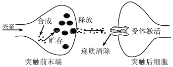 菁優(yōu)網