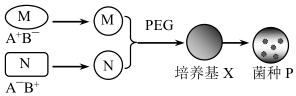 菁優(yōu)網