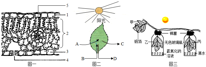 菁優(yōu)網(wǎng)