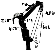 菁優(yōu)網(wǎng)