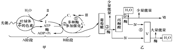 菁優(yōu)網(wǎng)