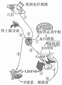 菁優(yōu)網(wǎng)