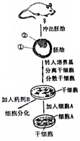 菁優(yōu)網(wǎng)