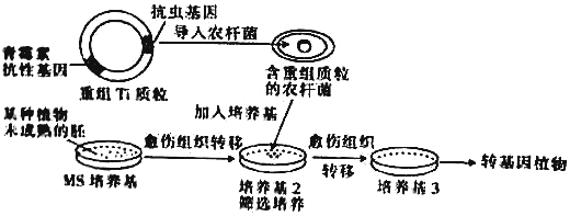 菁優(yōu)網(wǎng)