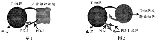 菁優(yōu)網