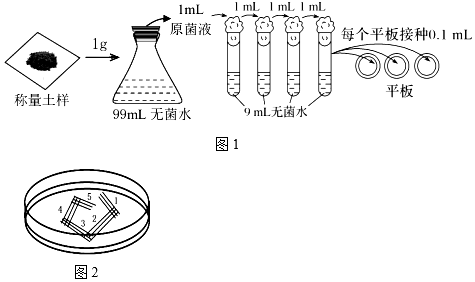 菁優(yōu)網