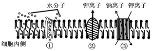 菁優(yōu)網(wǎng)