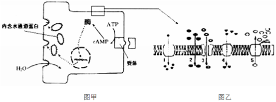 菁優(yōu)網(wǎng)