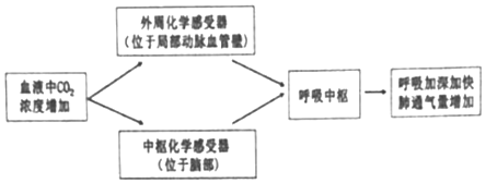 菁優(yōu)網