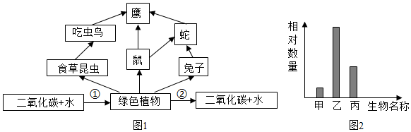 菁優(yōu)網(wǎng)