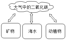 菁優(yōu)網(wǎng)