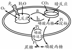 菁優(yōu)網(wǎng)