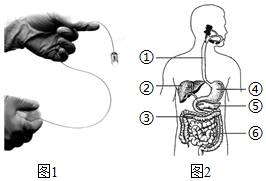 菁優(yōu)網(wǎng)