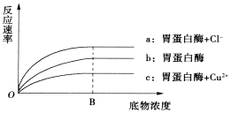 菁優(yōu)網