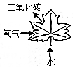 菁優(yōu)網(wǎng)