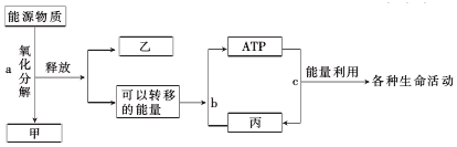 菁優(yōu)網