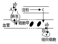 菁優(yōu)網(wǎng)