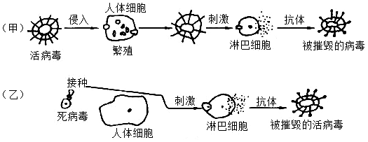 菁優(yōu)網