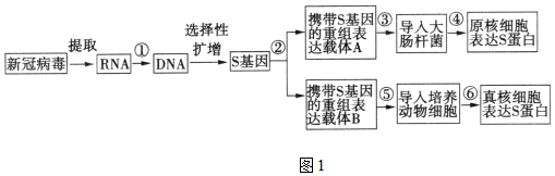 菁優(yōu)網