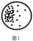 菁優(yōu)網