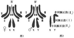 菁優(yōu)網