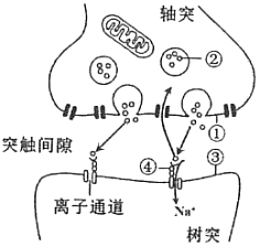 菁優(yōu)網(wǎng)