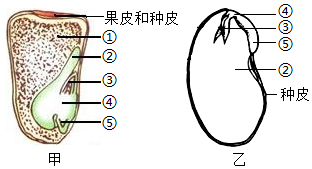 菁優(yōu)網