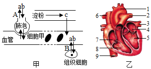 菁優(yōu)網(wǎng)