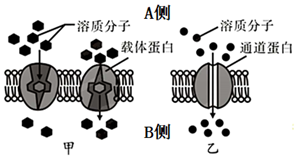 菁優(yōu)網(wǎng)