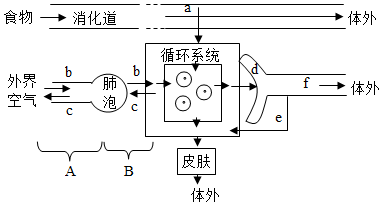 菁優(yōu)網