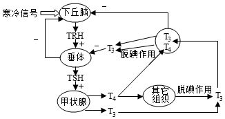 菁優(yōu)網