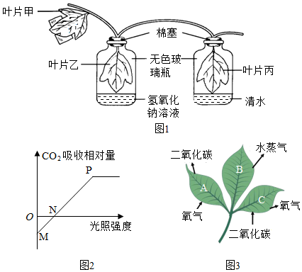 菁優(yōu)網(wǎng)