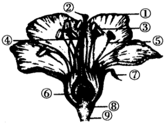 菁優(yōu)網