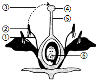 菁優(yōu)網(wǎng)