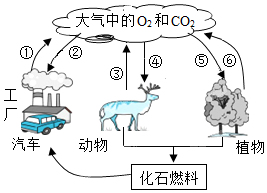 菁優(yōu)網(wǎng)