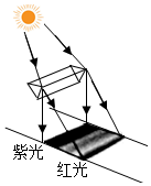 菁優(yōu)網