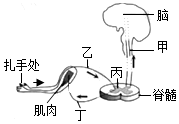 菁優(yōu)網(wǎng)