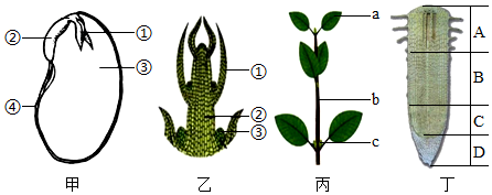 菁優(yōu)網(wǎng)