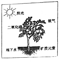 菁優(yōu)網(wǎng)