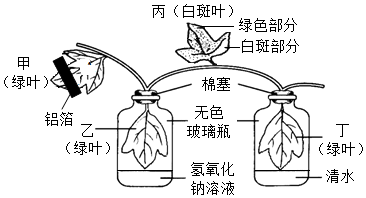 菁優(yōu)網(wǎng)