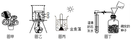 菁優(yōu)網(wǎng)