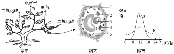 菁優(yōu)網(wǎng)